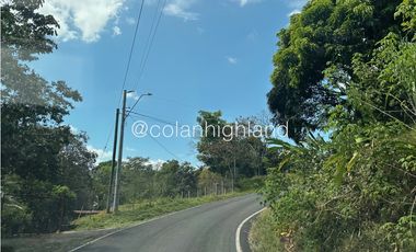 Se Vende Finca 1,731 hectáreas en Macaracas, Los Santos
