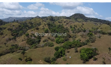 Se Vende Finca 1,731 hectáreas en Macaracas, Los Santos