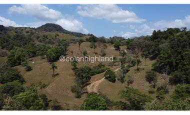 Se Vende Finca 1,731 hectáreas en Macaracas, Los Santos