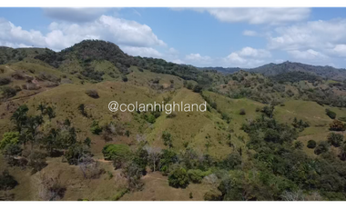 Se Vende Finca 1,731 hectáreas en Macaracas, Los Santos