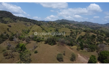 Se Vende Finca 1,731 hectáreas en Macaracas, Los Santos