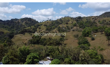 Se Vende Finca 1,731 hectáreas en Macaracas, Los Santos