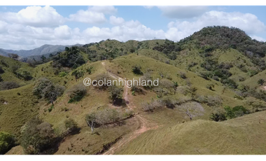 Se Vende Finca 1,731 hectáreas en Macaracas, Los Santos