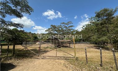 Se Vende Finca 1,731 hectáreas en Macaracas, Los Santos