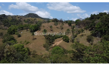 Se Vende Finca 1,731 hectáreas en Macaracas, Los Santos
