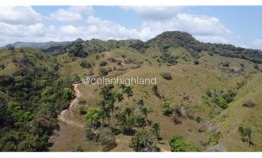Se Vende Finca 1,731 hectáreas en Macaracas, Los Santos
