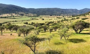 Hotel en Venta en Tapihue