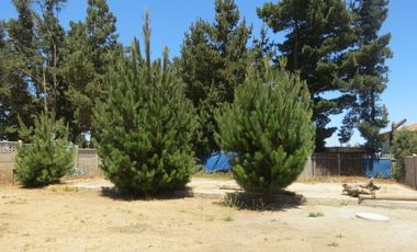 Casa en Venta en Calle Los Boldos Parcela 57 Sitio 3 Comunidad Pachamama Sector El Triangulo