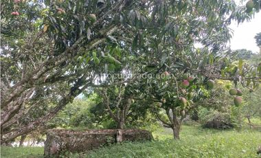Finca en Venta  en Viota Vía a La Mesa 13 hectareas