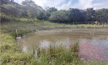 Finca en Venta  en Viota Vía a La Mesa 13 hectareas