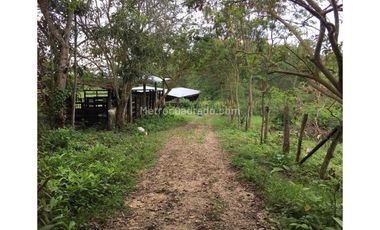 Finca en Venta  en Viota Vía a La Mesa 13 hectareas