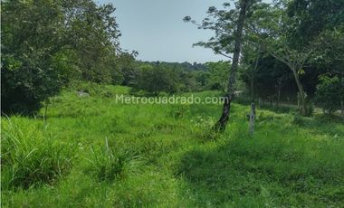 Finca en Venta  en Viota Vía a La Mesa 13 hectareas
