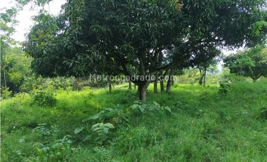 Finca en Venta  en Viota Vía a La Mesa 13 hectareas