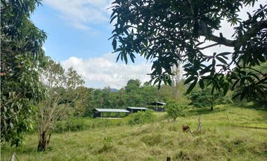 Finca en Venta  en Viota Vía a La Mesa 13 hectareas