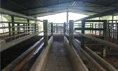 Finca en Venta  en Viota Vía a La Mesa 13 hectareas
