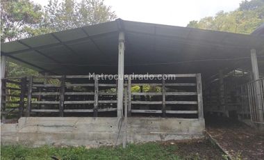 Finca en Venta  en Viota Vía a La Mesa 13 hectareas