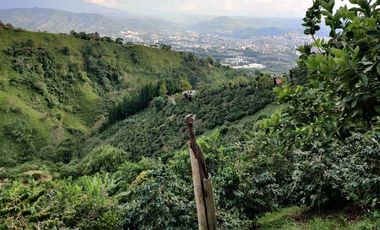 FINCA EN VENTA EN LA VDA LA PALMA/DOSQUEBRADAS
