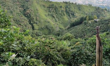 FINCA EN VENTA EN LA VDA LA PALMA/DOSQUEBRADAS