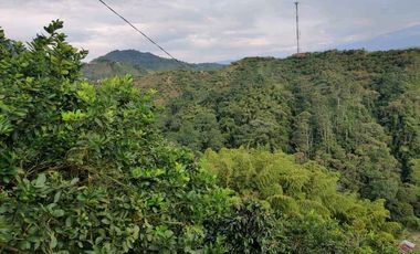 FINCA EN VENTA EN LA VDA LA PALMA/DOSQUEBRADAS