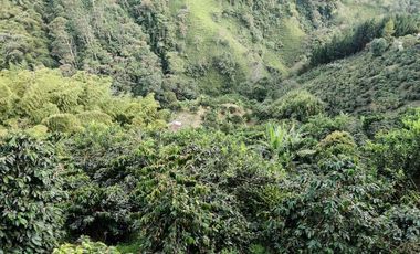 FINCA EN VENTA EN LA VDA LA PALMA/DOSQUEBRADAS