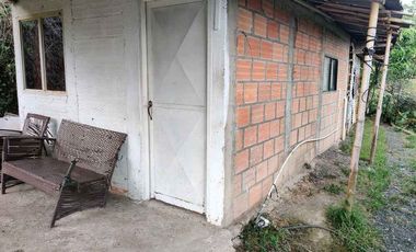FINCA EN VENTA EN LA VDA LA PALMA/DOSQUEBRADAS