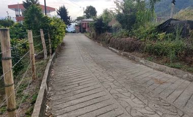FINCA EN VENTA EN LA VDA LA PALMA/DOSQUEBRADAS