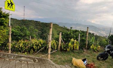 FINCA EN VENTA EN LA VDA LA PALMA/DOSQUEBRADAS