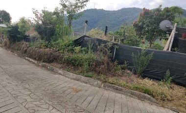 FINCA EN VENTA EN LA VDA LA PALMA/DOSQUEBRADAS