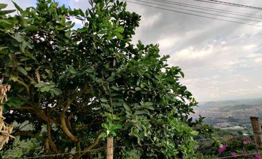 FINCA EN VENTA EN LA VDA LA PALMA/DOSQUEBRADAS