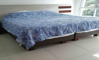 APARTAESTUDIO EN ARRIENDO EN ZONA NORTE/AV 19/ ARMENIA