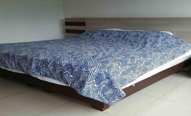 APARTAESTUDIO EN ARRIENDO EN ZONA NORTE/AV 19/ ARMENIA