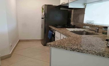 APARTAESTUDIO EN ARRIENDO EN ZONA NORTE/AV 19/ ARMENIA