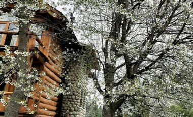 Casa en  Alquiler temporario en Altos del Chapelco, San Martin de los Andes