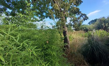 Terreno en Alquiler en  La Plata