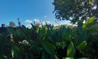 Terreno en Alquiler en  La Plata