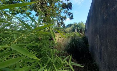 Terreno en Alquiler en  La Plata
