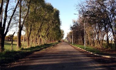 Terreno en Estancia Las Moras segunda etapa