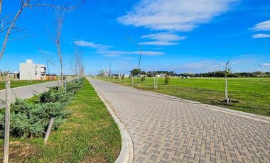 VENTA - Terreno 300 m2 - Sobre avenida - Eco Tierra, Pueblo Esther.