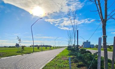VENTA - Terreno 300 m2 - Sobre avenida - Eco Tierra, Pueblo Esther.