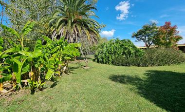 Alquiler vacacional - Casa -  Torres - Luján
