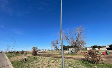 VENTA - Terreno 300 m2 - Sobre avenida - Eco Tierra, Pueblo Esther.
