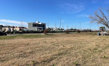VENTA - Terreno 300 m2 - Sobre avenida - Eco Tierra, Pueblo Esther.