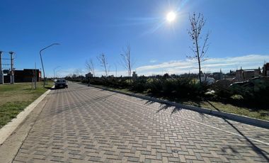 VENTA - Terreno 300 m2 - Sobre avenida - Eco Tierra, Pueblo Esther.