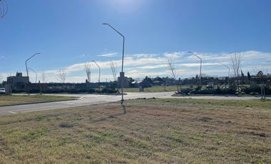 VENTA - Terreno 300 m2 - Sobre avenida - Eco Tierra, Pueblo Esther.