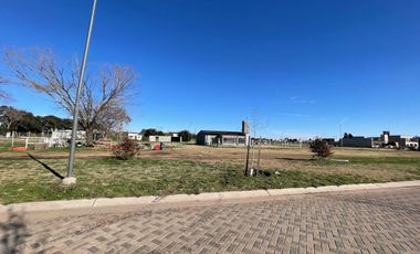 VENTA - Terreno 300 m2 - Sobre avenida - Eco Tierra, Pueblo Esther.