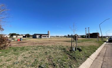 VENTA - Terreno 300 m2 - Sobre avenida - Eco Tierra, Pueblo Esther.