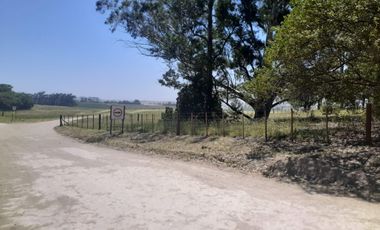 Terrenos en venta - 1.424Mts2 - Arenas Verdes, Lobería