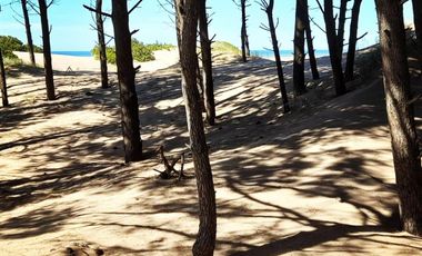 Terrenos en venta - 1.424Mts2 - Arenas Verdes, Lobería