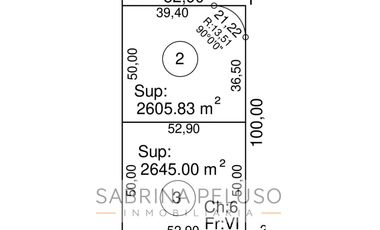 Venta Polo industrial Terreno