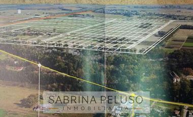 Venta Polo industrial Terreno